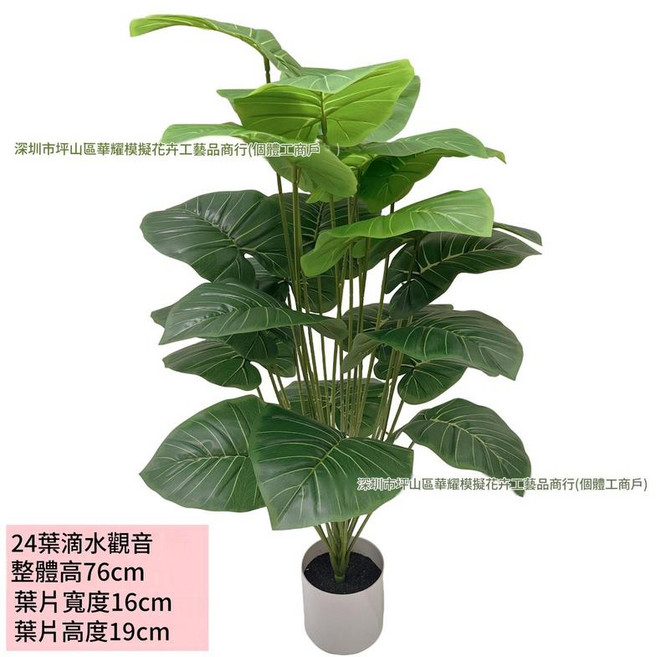模擬綠植物樹 假花盆栽 客廳裝飾擺件 逼真, 24頭滴水觀音 不含盆, 1件