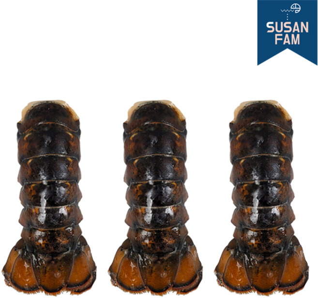 랍스터테일 3마리 랍스타 바닷가재꼬리