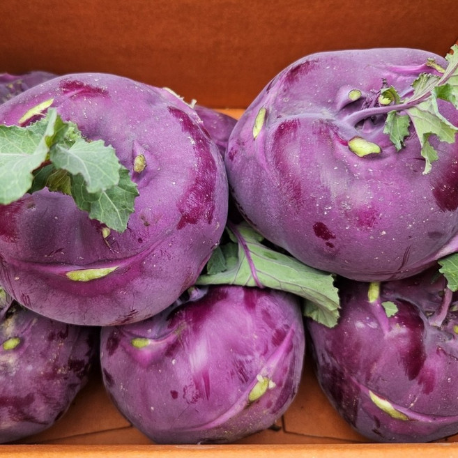 달콤아삭 수퍼푸드 콜라비 특품 산지직송, 1박스, 3kg