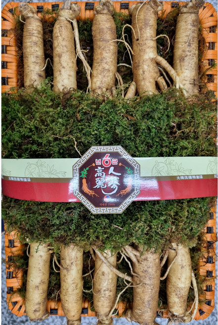 (실속형선물포장세트) 6년근 A급정품 600g 풍기인삼도매 [중굵기] 10뿌리내외 현대만석인삼사, 1세트