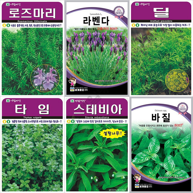 허브씨앗모음 허브씨앗 스테비아 펜넬 딜 타임 루꼴라 라벤다 바질, 527 타라곤, 1개