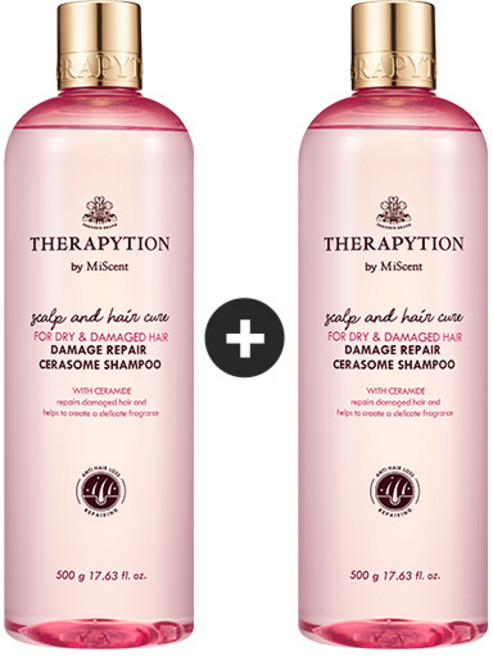 [1+1] 테라피션 손상모발 약산성 세라좀 퍼퓸 단백질샴푸 500ml, 펌프, 2개