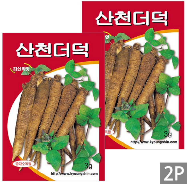 세인화분 국산 산천 더덕 3g - 씨 씨앗 더덕씨 더덕씨앗, 2개