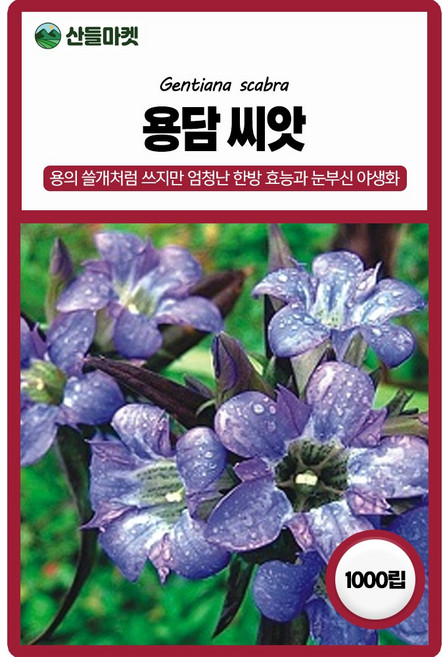 아람종묘 용담 씨앗 1000립 용담 꽃씨 야생화 약초 종자, 1개