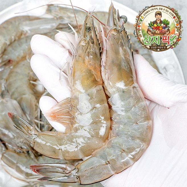 산지직송 국내산 활 흰다리 새우 당일조업 제철, 1개, 흰다리 새우 500g