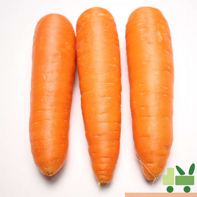 사라상회 세척 당근 (2L) 5kg (중국산), 1개