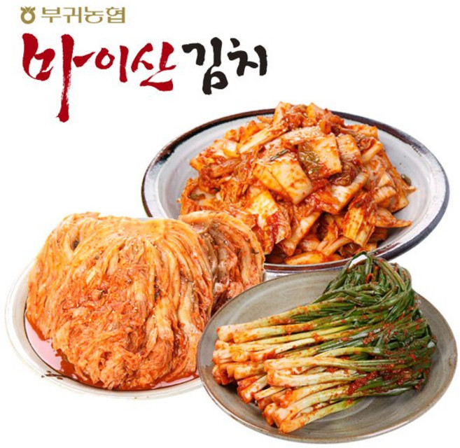 마이산김치 한국농협김치 전북대표 맛남3종5호 막김치/묵힌김치/파김치 각1kg, 마이산김치 한국농협김치 전북대표 맛남3종5호 막김치/묵, 1kg
