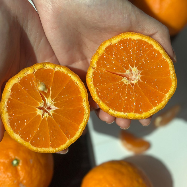 제주 카라향 5kg 정품 고당도 제철 만감류 산지직송, 1박스, 카라향정품(대과)5kg