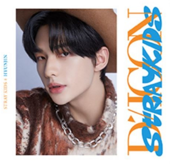 (스키즈 현진) 스트레이키즈 디아이콘 디페스타 포토북 포카 포카바인더 미니에디션