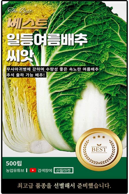 베스트 일등여름 배추 씨앗 500립 무사마귀병 강한 수량성 좋은 배추씨 종자, 2개