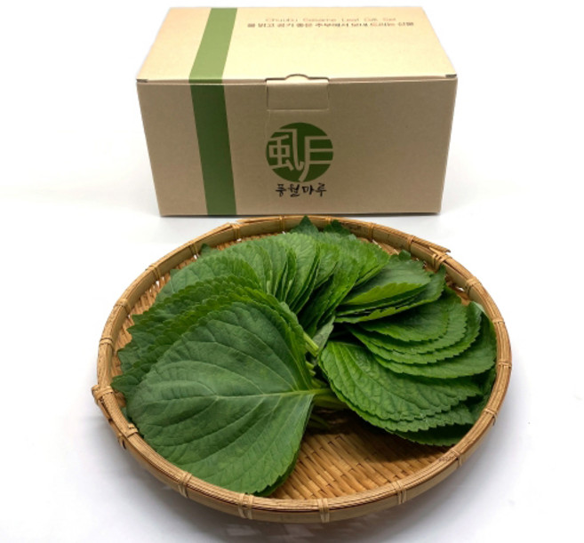풍월마루 초신선 추부깻잎 10봉 봉당30장 500g GAP인증 당일수확 산지직송 금산, 1개, 500g이상