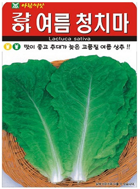 아람종묘 강하 여름청치마 상추 씨앗 2000p, 1개