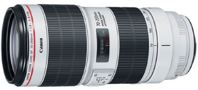 캐논 EF 70-200mm F2.8L IS III USM 새새아빠백통, 캐논70-200mm F2.8L IS III
