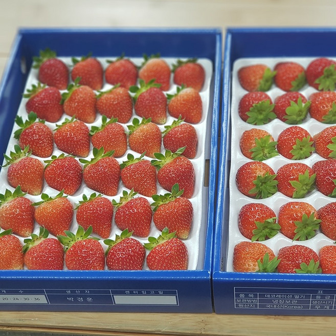 대관령여름딸기2팩 데코레이션딸기30과 2팩구성, 2팩, 30과 600g