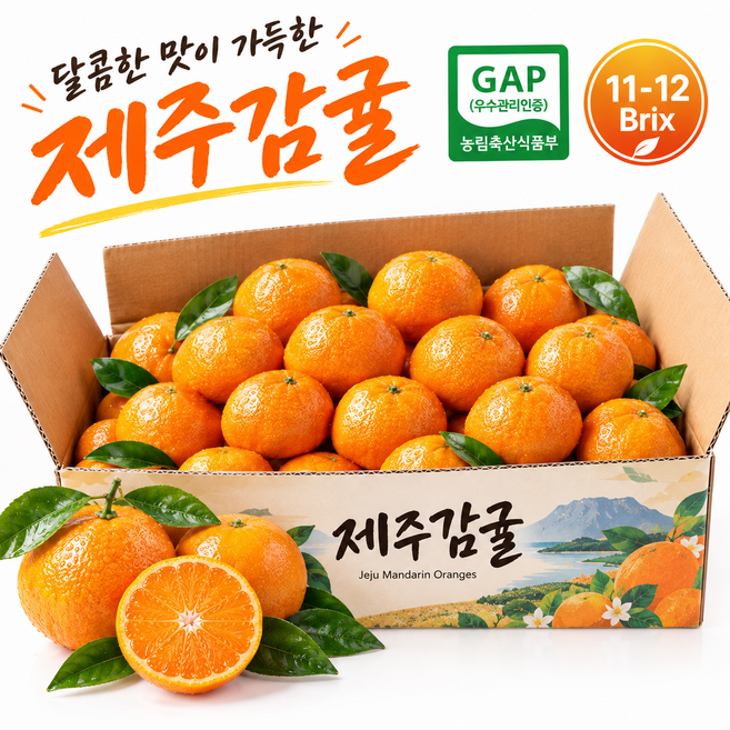 (당도선별) 11brix고당도 제주 햇 감귤, 1박스, 10kg(로얄과)