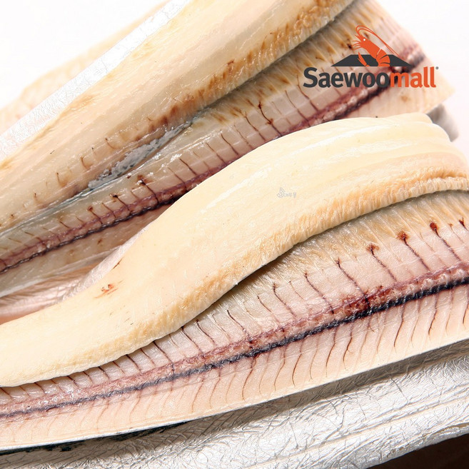 새우몰 국내산 반건조 건갈치 대자 55cm 15미 조림용, 1개