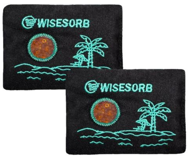 보관용 Wisesorb 100g x 2pcs 재사용 가능한 건조제 팩 색상 표시 실리카 젤 패킷 수분 흡수제 보이는 창문 총기 안전 차량 옷장 지하실용 충전식 제습기 백, 보관용 Wisesorb 100g x 2pcs 재사용 가