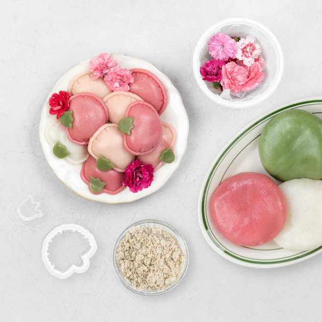 싸리재 카네이션 말랑떡 DIY 키트 (반죽+팥앙금+도장) 바람떡 어버이날 가정의달 만들기 체험, 1개, 640g