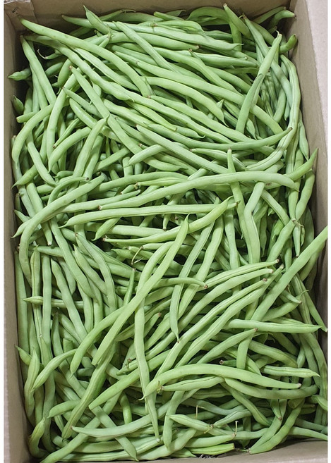 (차씨네숍)국내산 생그린빈 생 그린빈스 껍질콩 콩깍지 생그린빈1kg, 1개