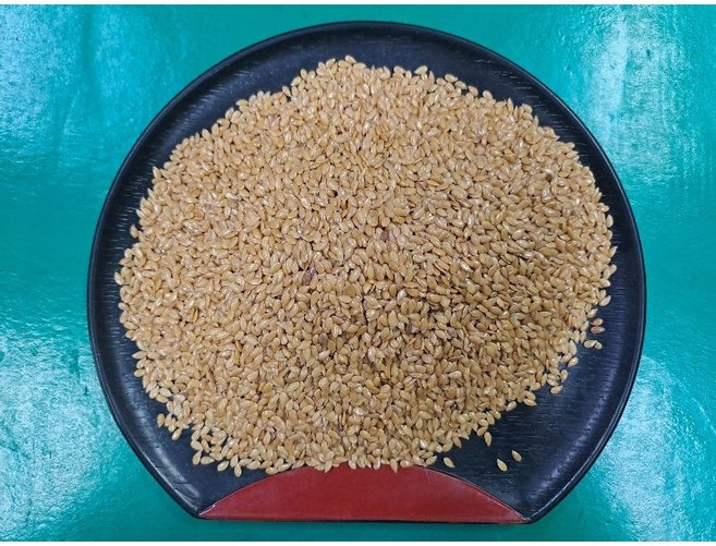 金協和黃金亞麻仁600g生的 養生食品, 1個