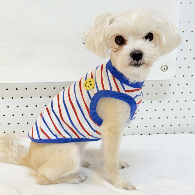 도기스타 강아지옷 깜찍포인트 민소매 나시 순면 티셔츠 소형 중형견 대형견옷, 1개, 블루