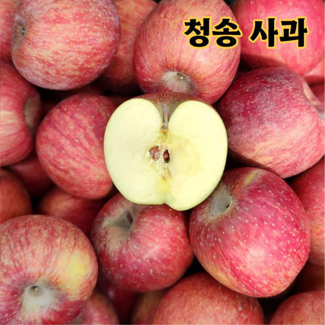 사과 고당도 청송사과 당도선별 부사사과 가정용 선물용, 1박스, 5kg (상품 가정용)