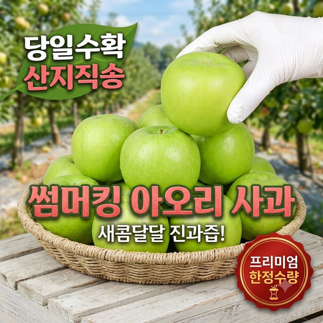 국산 산지직송 햇 아오리사과 아삭한 청사과 여름사과 2kg 가정용, 소과 15~16개