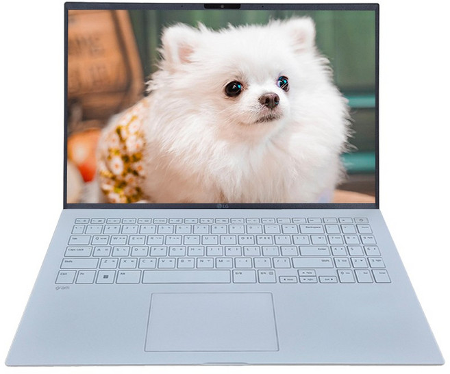 LG그램 AI AMD 15ZD80T-GX56K 크라켄5 16GB 256GB 올데이 가벼운 노트북, 15 AMD 15ZD80T-GX56K, Free DOS, 에센스 화이트