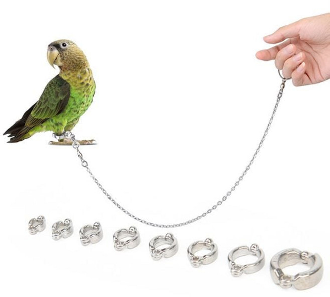 앵무새 리드줄 발목링 스텐 녹슬지않는 상처없는 외출 산책 새키우기, 6번