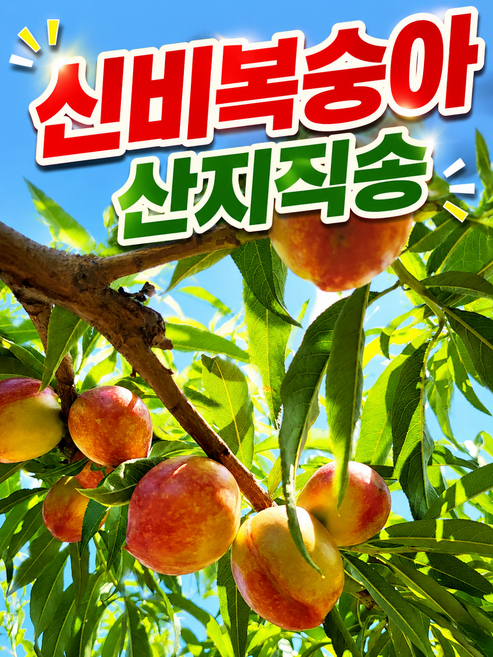 [산지직송] 재구매1위 새콤 달콤 고당도 신비복숭아, 1개, 1kg