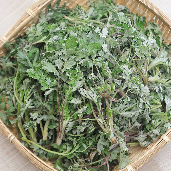 [푸드공작소] 전남 여수 거문도 해풍맞은 해풍쑥 생쑥 상품, 1개, 1kg