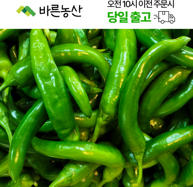 < 바른농산 > 국내산 오이고추 못난이 아삭이고추 풋고추 오이맛고추, 1개, 10kg(못난이)