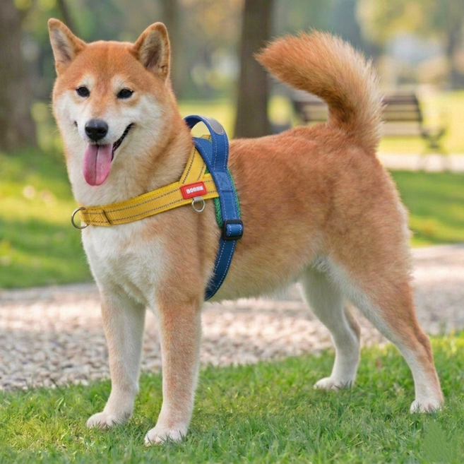 바밍펫 앞섬방지 강아지 하네스, 1개, 비비드믹스