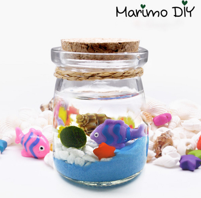 마리모 포함 키우기 바다푸딩 세트/어항 DIY 장식 피규어, 1개
