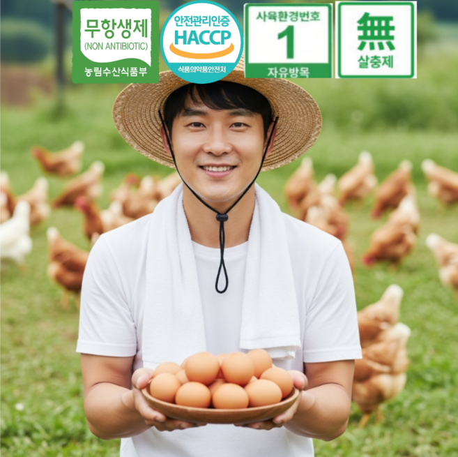 [당일발송] 무항생제 HACCP 난각1번 자연방사 유정란 계란 동물복지 유기농 방목사육, 1개, 20구