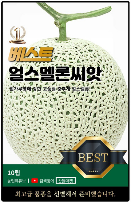 베스트 얼스 멜론 씨앗 10립 흰가루병에 강한 비대력 우수한 춘추계 멜론씨 종자, 1개