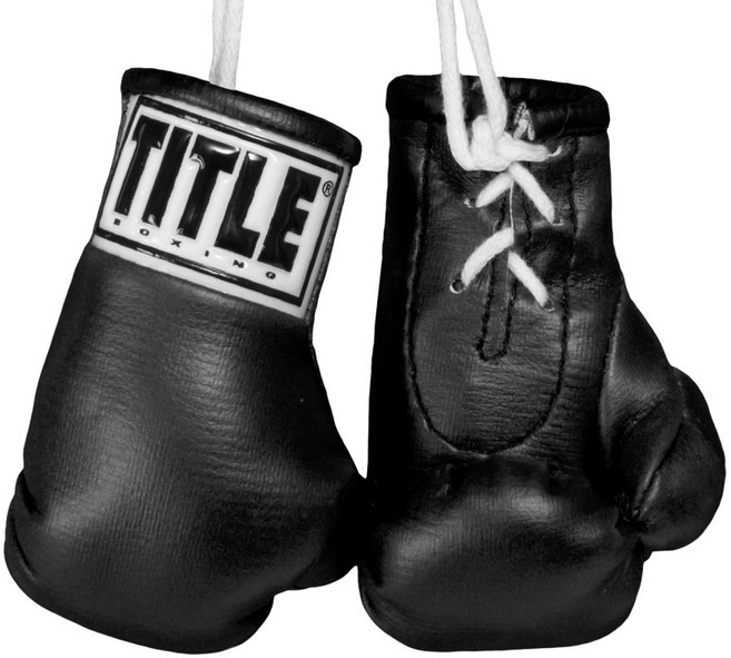 타이틀 미니 복싱글러브 / 권투 킥복싱 UFC MMA 키링, 3.5인치 블랙, 1개