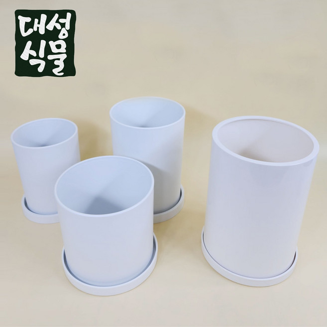 흰색 화이트 플라스틱화분 받침포함 빈 가벼운 거실 분갈이 대성식물, 02. 19x27, 1개