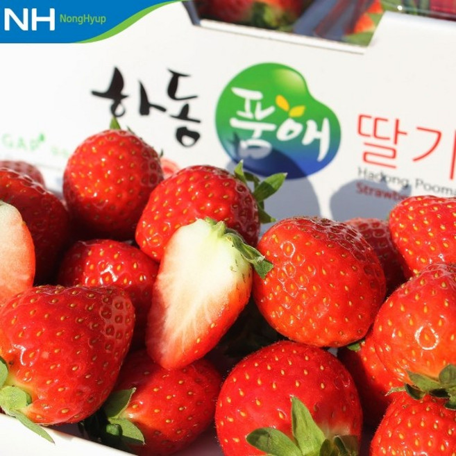 기타 하동 옥종농협 딸기 1kg(특), 상세페이지참조, 1개