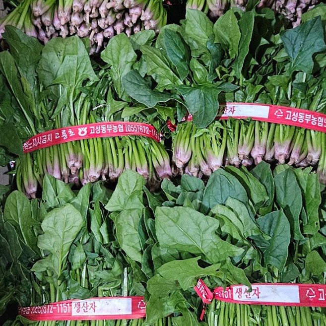 국내산 섬초 남해 시금치 노지, 4kg, 1개