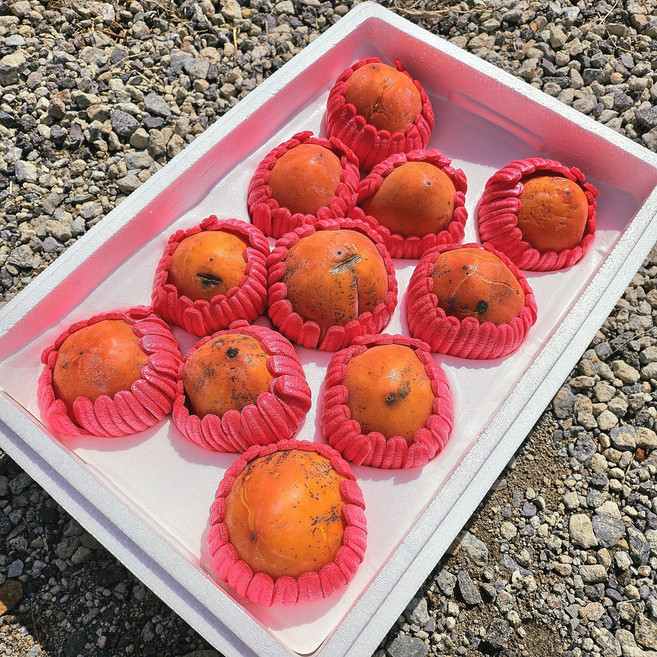 대봉감 대봉 홍시 달콤한 아이스홍시, 1개, 아이스홍시(못난이/흠과) 11과