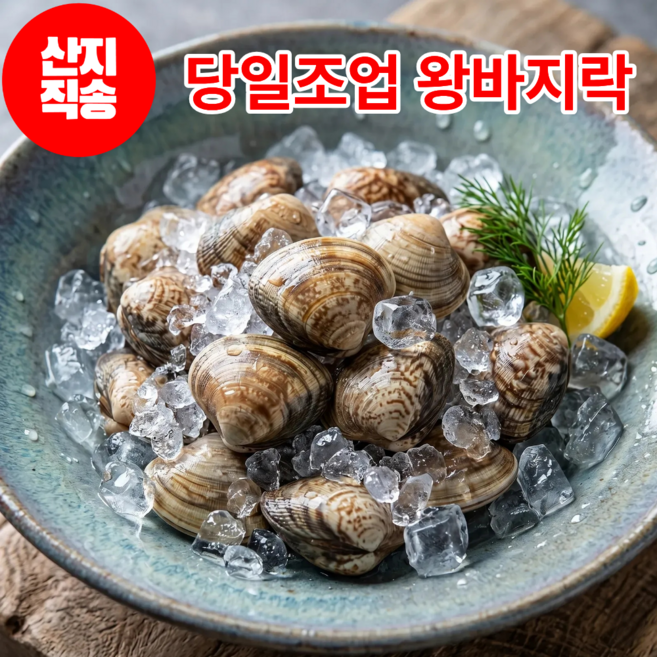 어부의뜰 국산 남해 바지락 생물 해감 왕바지락 조개 손질 국내산 바지락살, 1개, 2kg