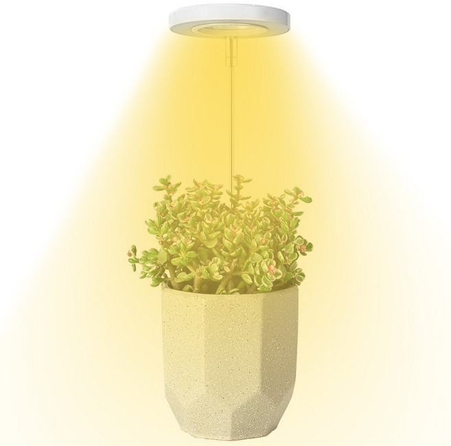 Future Goal 天使環植物生長燈 高度可調 定時功能, 1個, 白色外觀暖白光-可定時-帶底座
