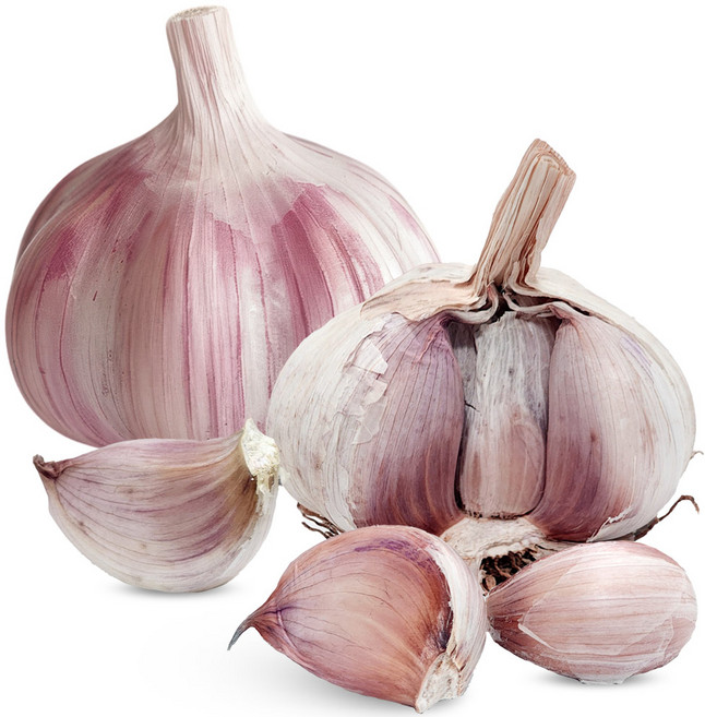 [울팜] 국내산 창녕 통마늘 피마늘, 1개, 통마늘 1kg