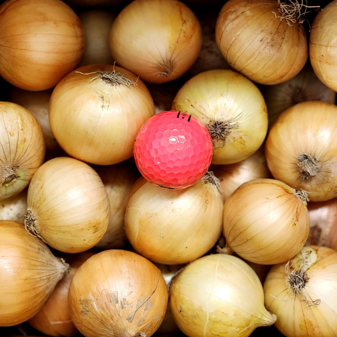 [울팜] 국내산 장아찌용 창녕 꼬마 양파, 1개, 양파(장아찌용) 1kg