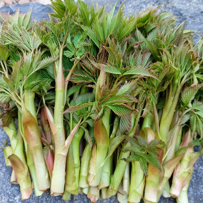 눈개승마 삼나물 1kg 2kg 강원도 정선 민둥산에서 자란 산나물, 1박스