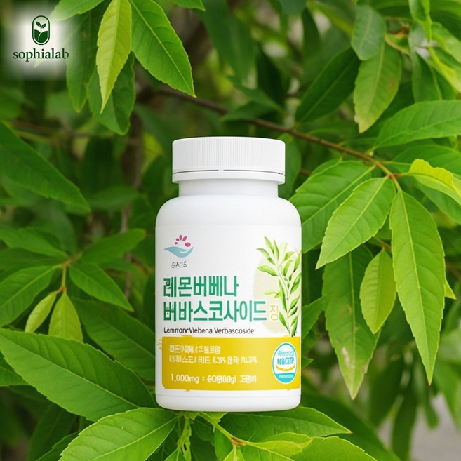 소피아랩 체지방감소 레몬버베나 버바스코사이드 정 1000mg, 1개, 60정