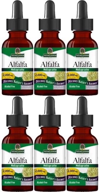 네이처스앤서 고흡수 알팔파 2000mg 액상 액체, 6개, 30ml - 쿠팡