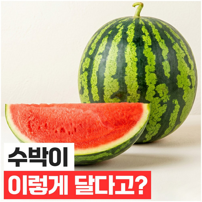 푸드지 산지직송 당도선별 꿀달콤 고당도 수박, 1개, 4kg
