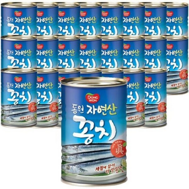 동원 자연산 꽁치, 24개, 300g